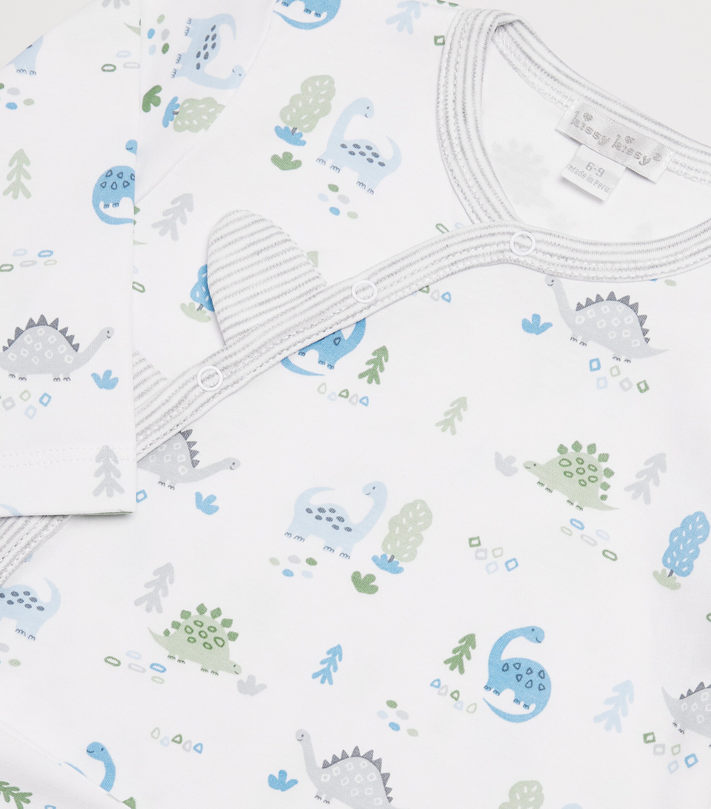 Kissy Kissy Pima Cotton Dinosaur Era All-In-One (0-24 Months) Image 3