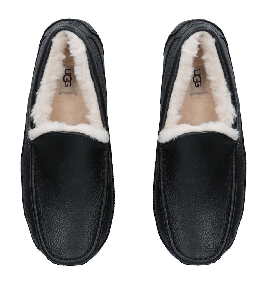 Ascot Slippers BLACK Image 4