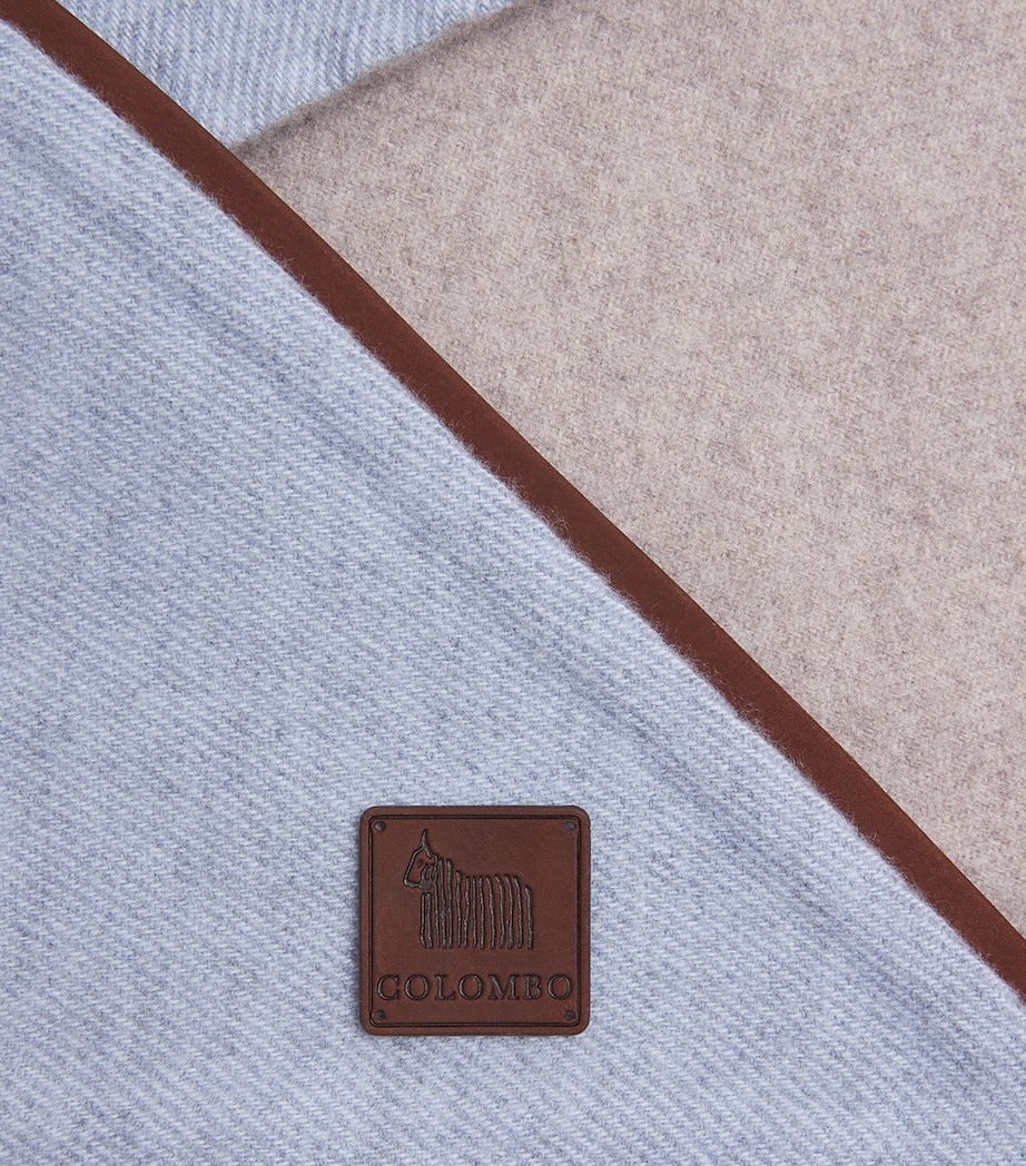 Colombo Cashmere Triangle Scarf Greige Image 4