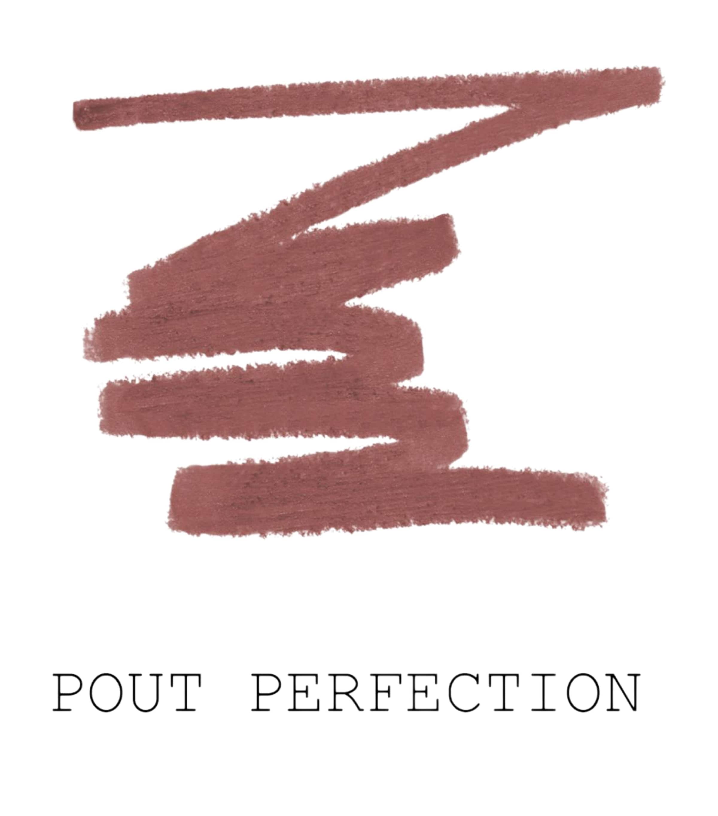 Legendary Longwear Lip Liner POUT PERFECTION Image 3