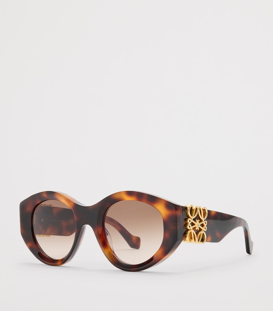 LOEWE Maxi Anagram Butterfly Sunglasses Havana Image 2