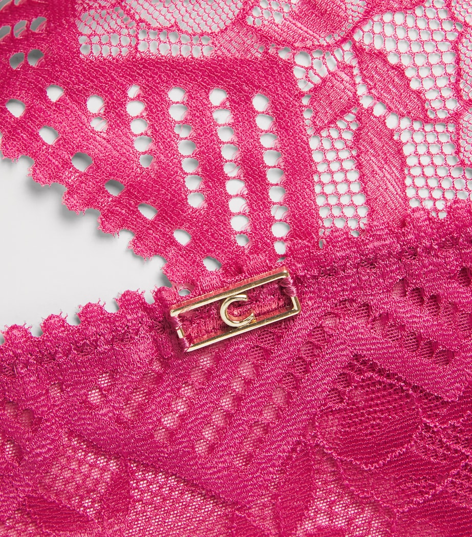 Chantelle Womens Lace Origins Tanga Briefs Oky Cranberry Image 4