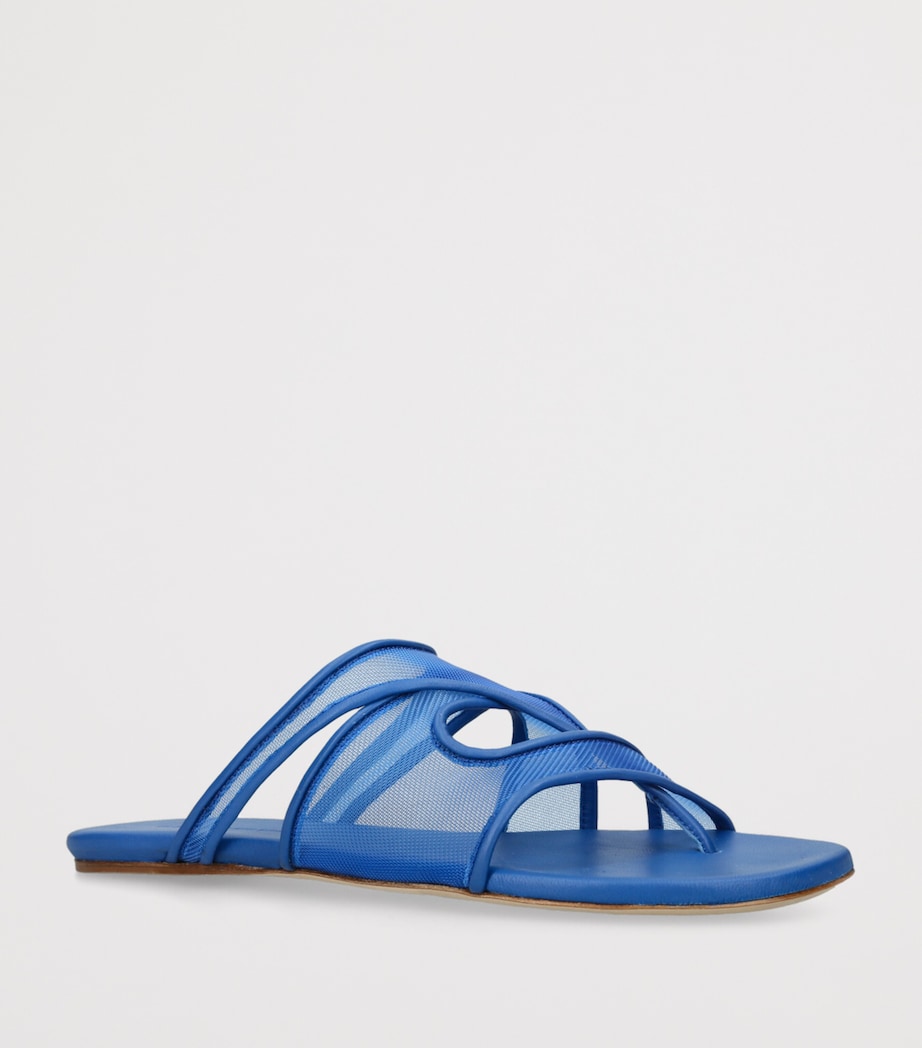 Mesh Ringer Flip Flops BLUE Image 3