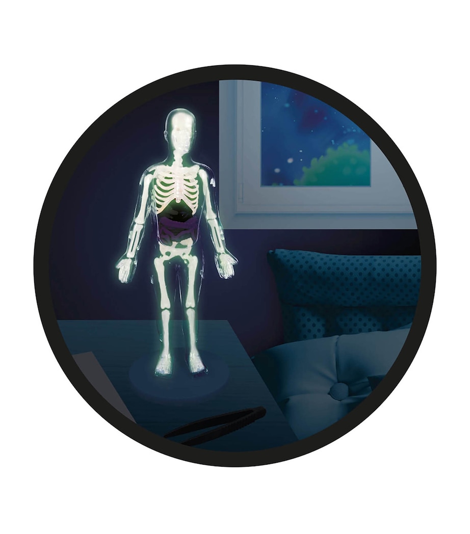 Human Body Toy MULTI Image 5