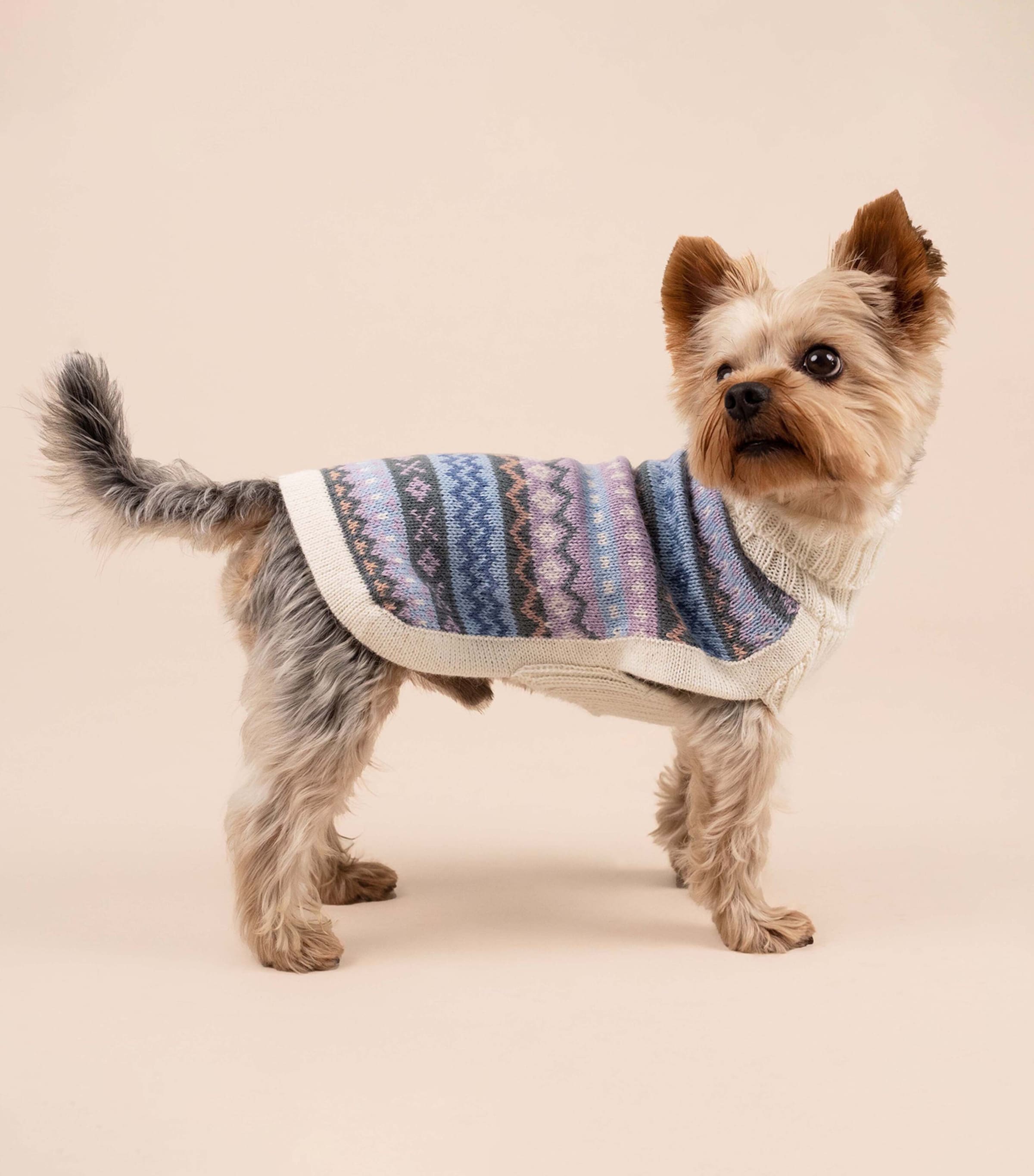 ALQO WASI Alpaca-Blend Cloudform Dog Sweater (Medium) Cloudform Image 4