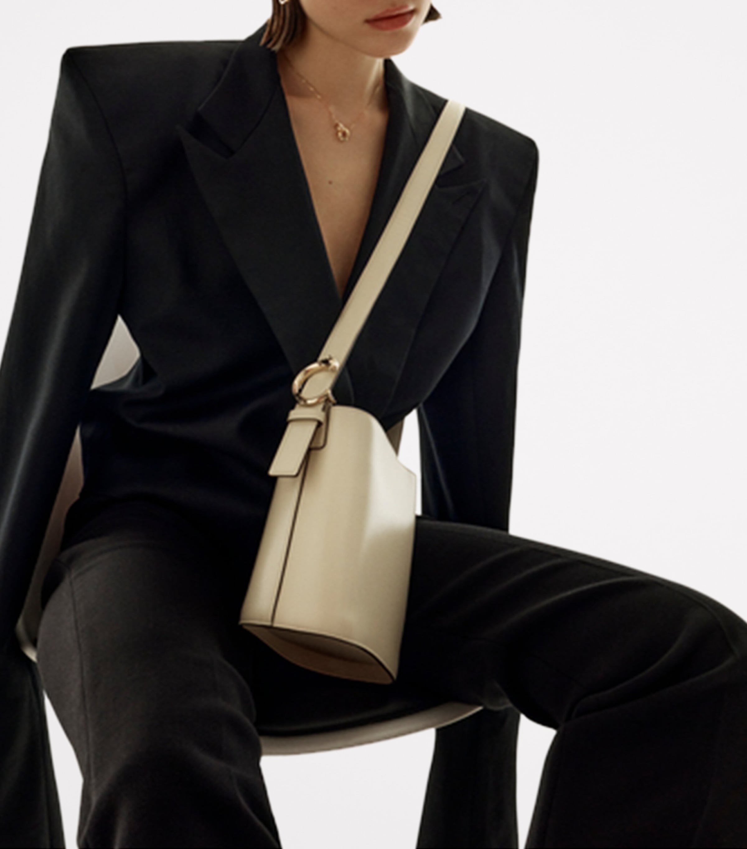 Small Leather Panthère C de Cartier Bucket Bag WHITE Image 5