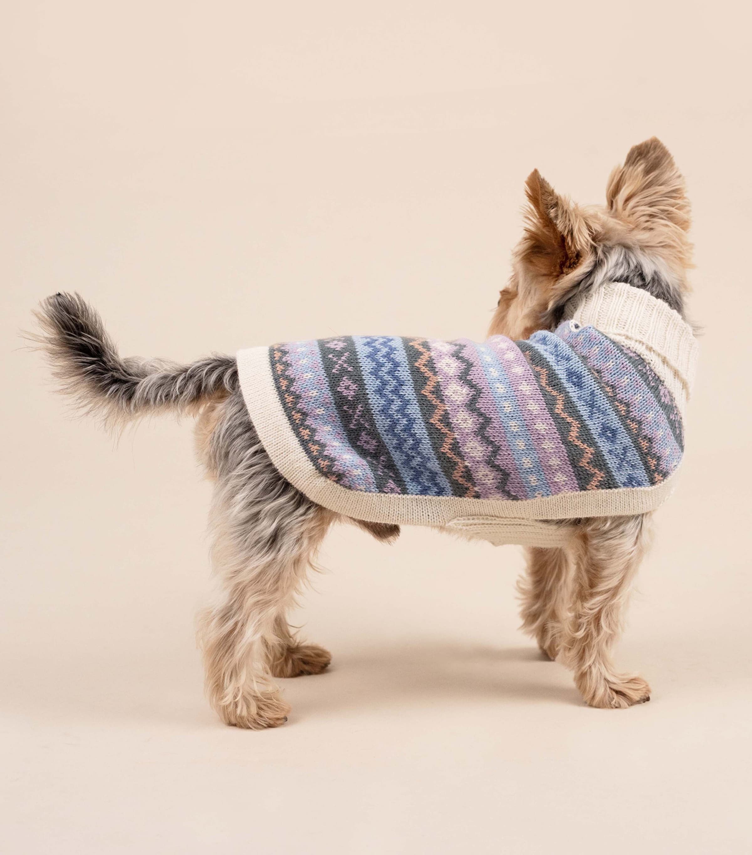 ALQO WASI Alpaca-Blend Cloudform Dog Sweater (Medium) Cloudform Image 3