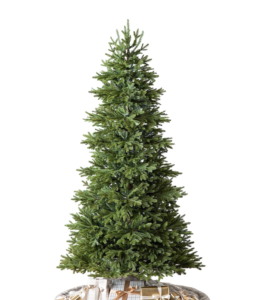 Norway Spruce Christmas Tree (5.5ft) GREEN Image 1