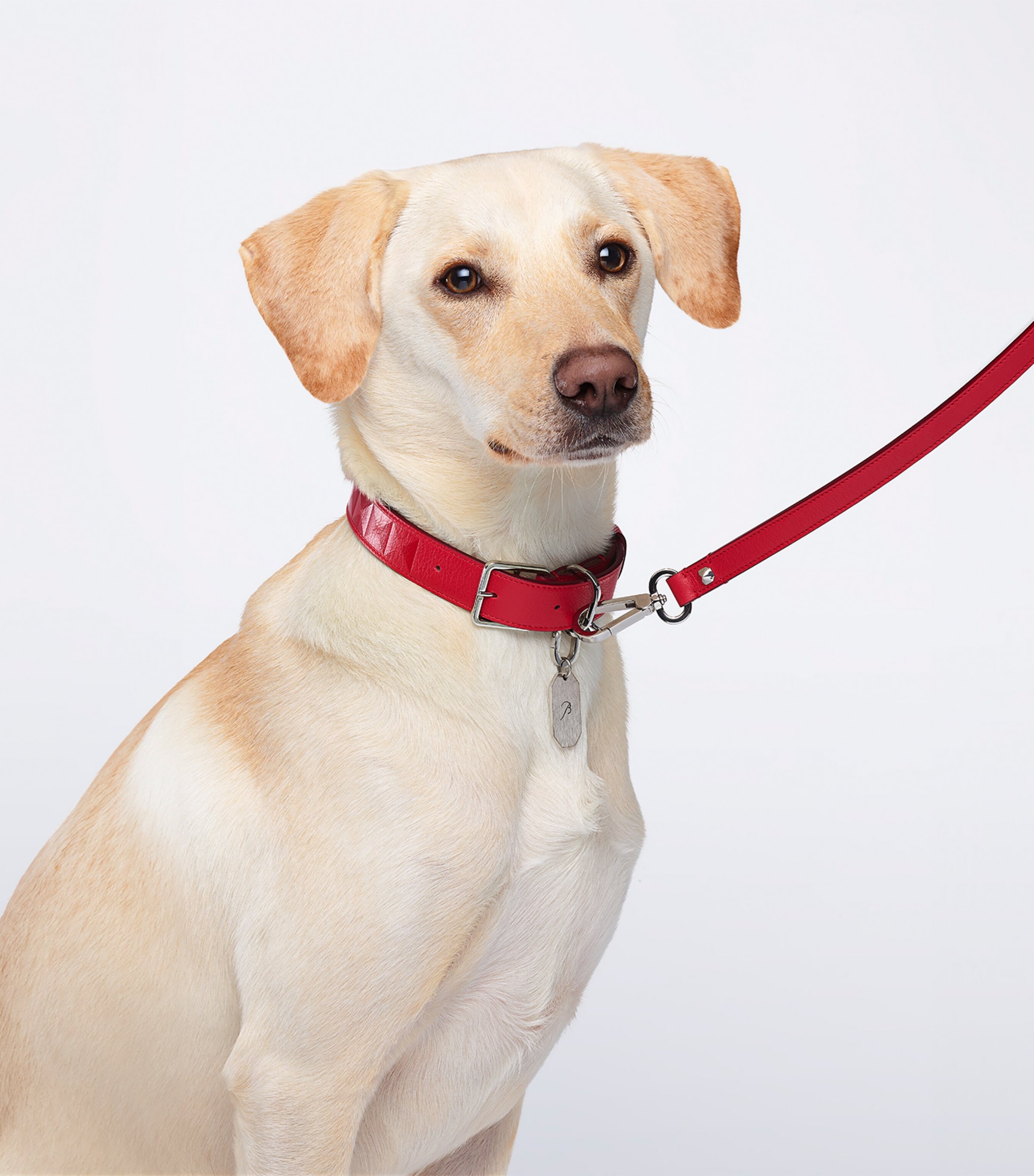 Baccarat Leather Louxor Pet Lead | Harrods US