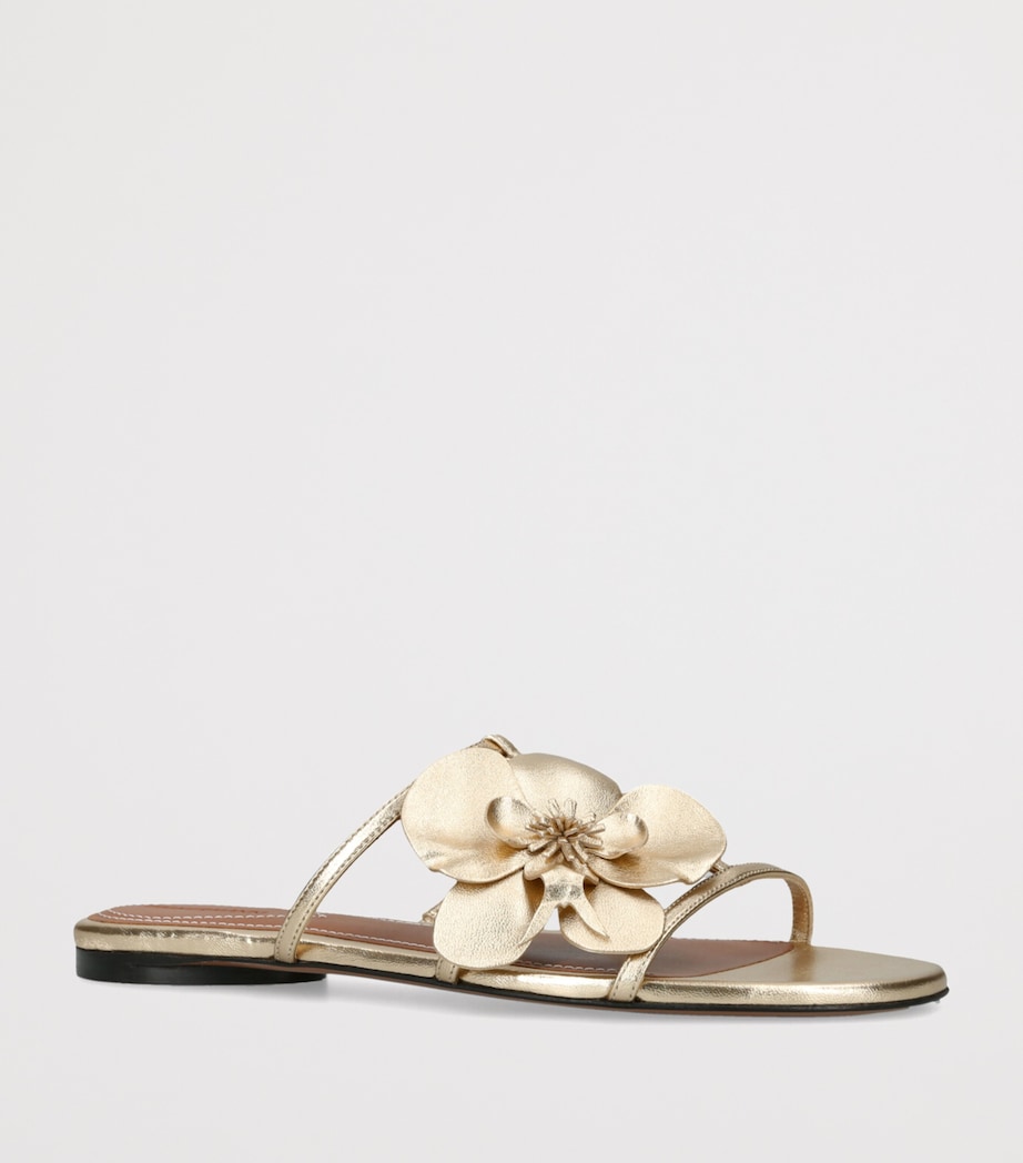 Zimmermann Leather Orchid Slides Gold Image 3