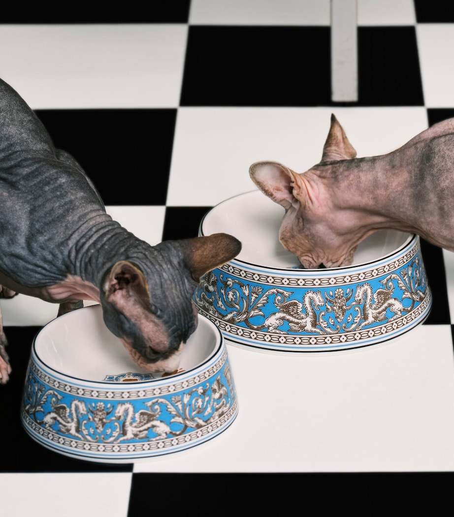 Bone China Florentine Pet Bowl (21cm) TURQUOISE Image 2