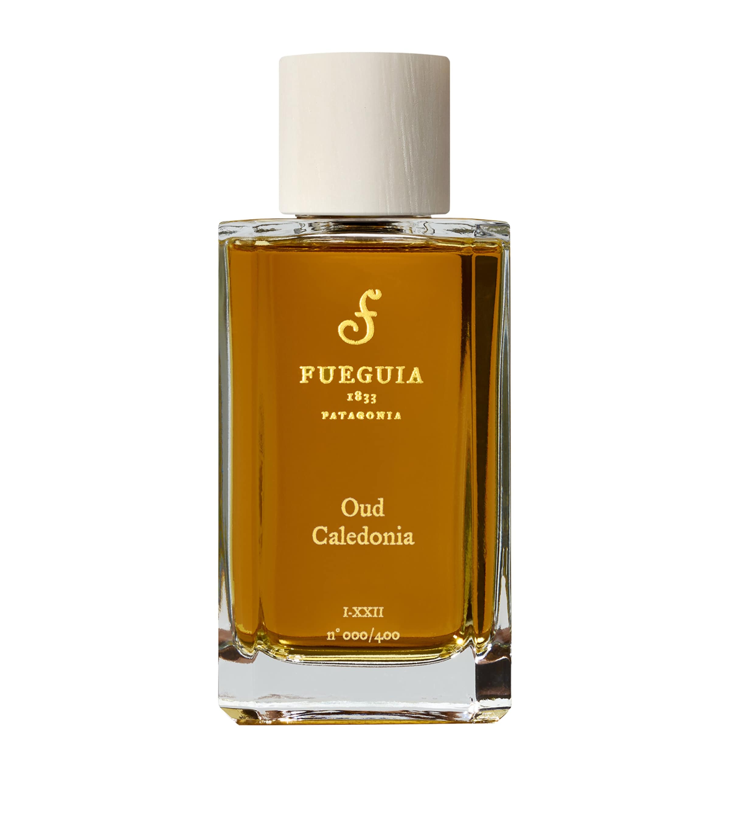 Fueguia 1833 Oud Caledonia Perfume (100ml) Image 1