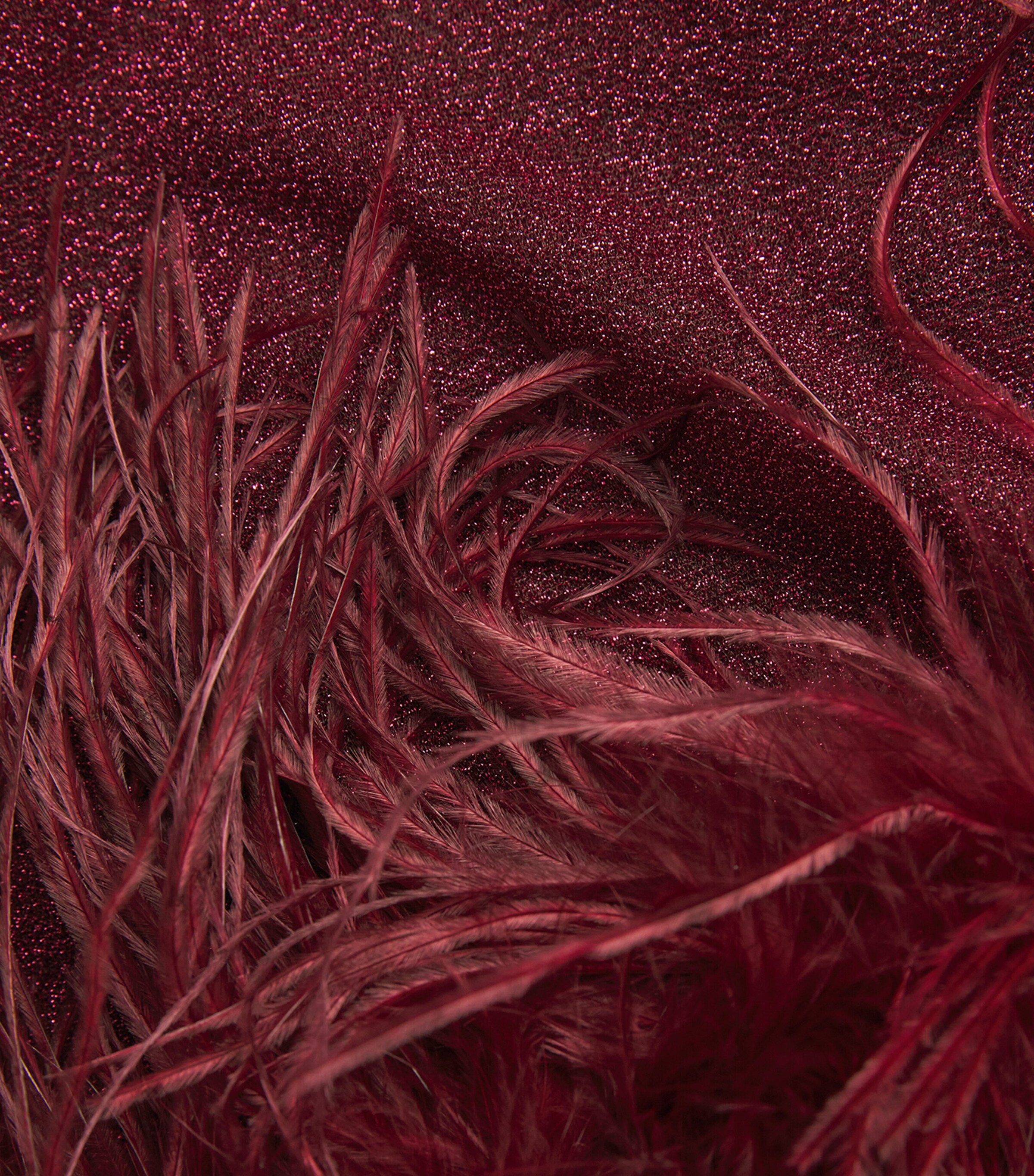 Lumière Feather Mini Dress BURGUNDY Image 5