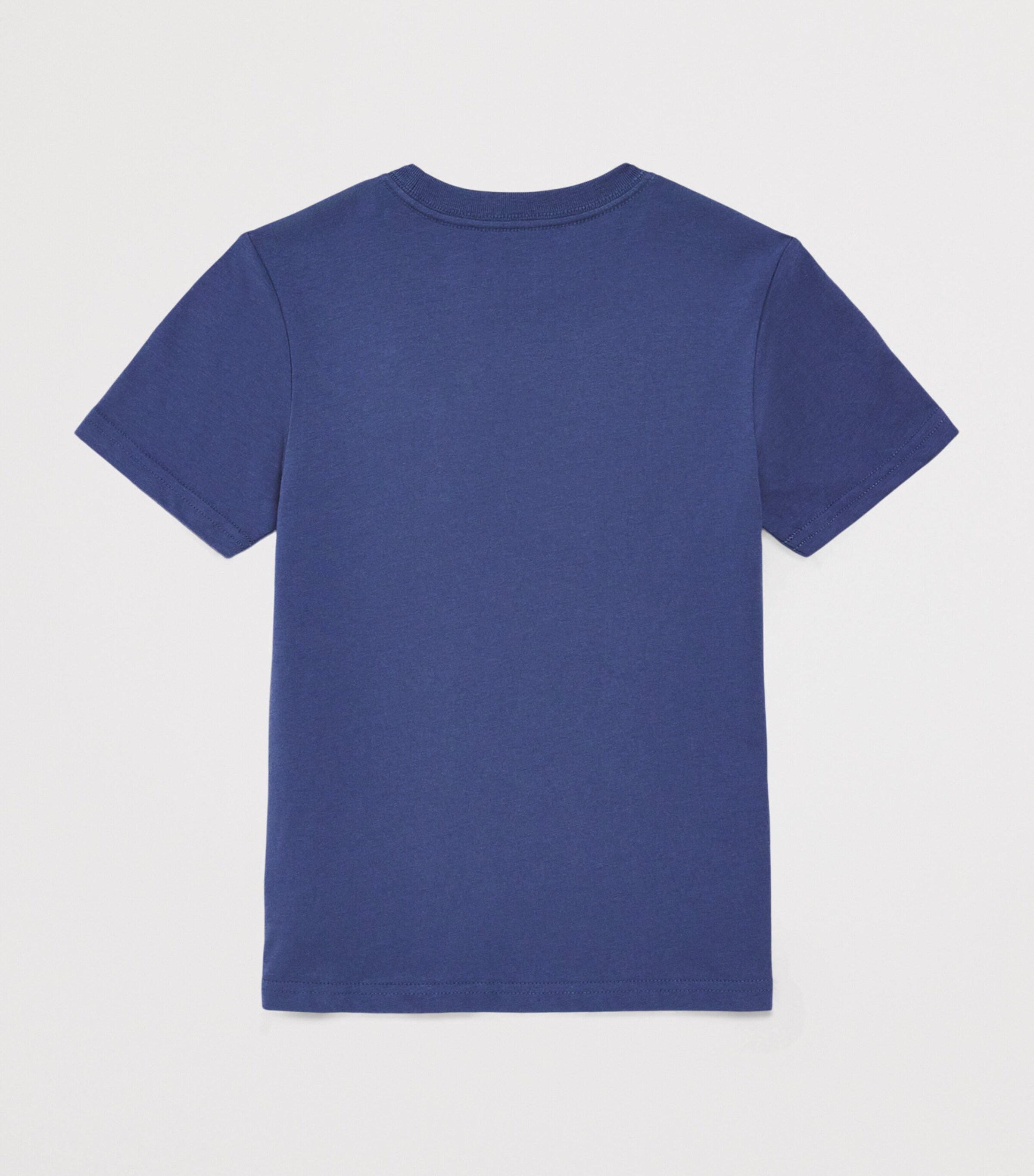 Ralph Lauren Kids Cotton Polo Pony T-Shirt (7-14 Years) Blue Heaven Image 2
