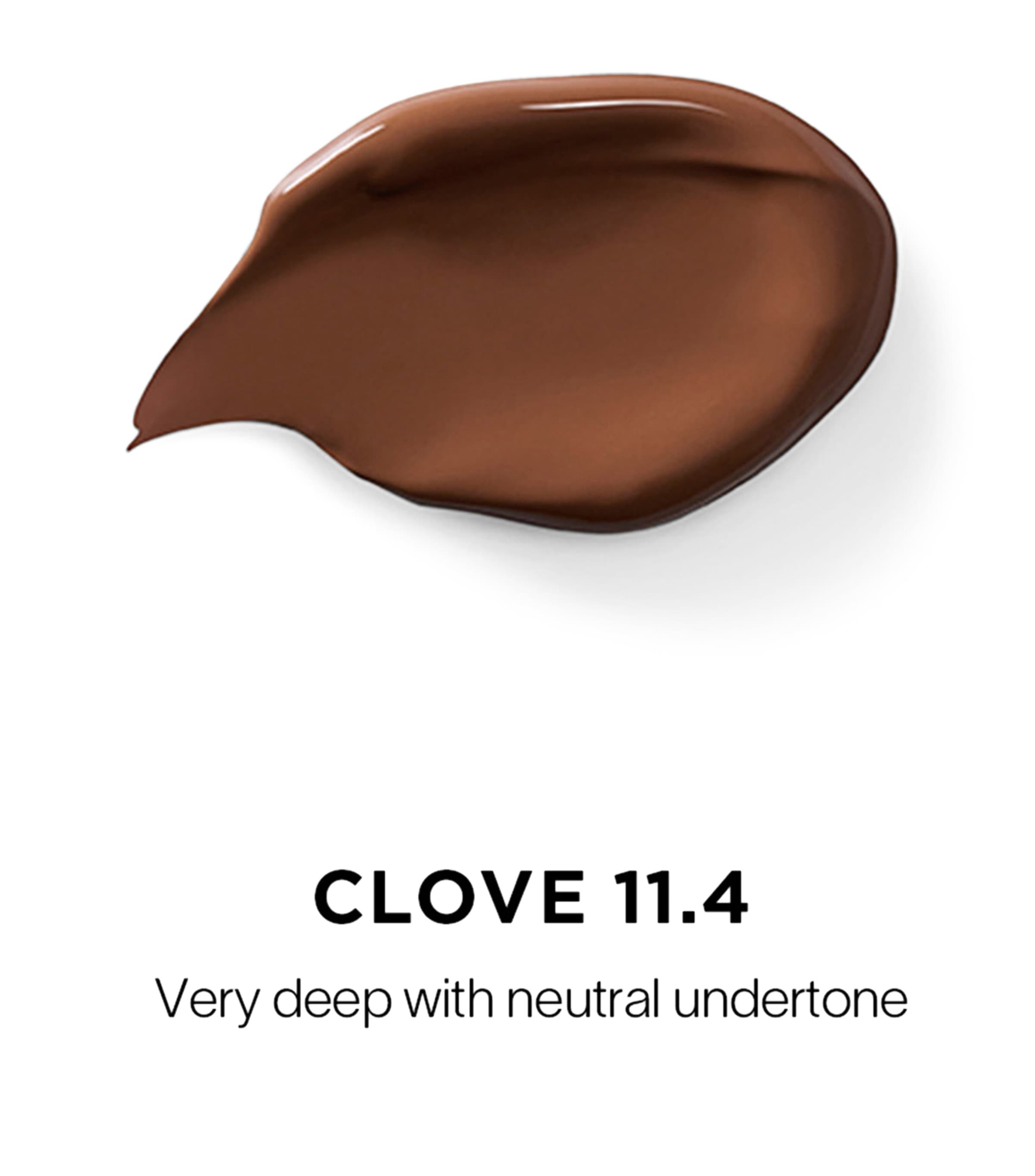 Vanish Airbrush Concealer CLOVE 11.4 Image 2