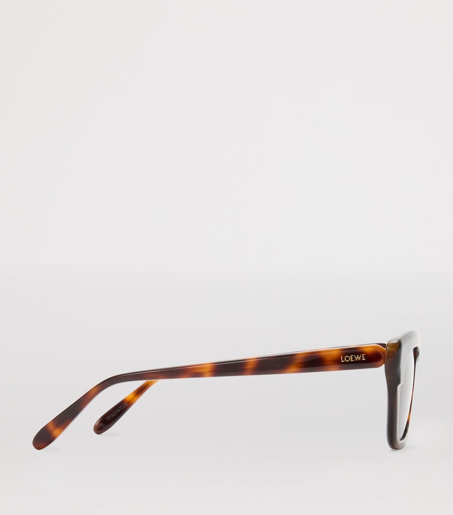 LOEWE Acetate Sigma Slim Sunglasses Havana Special Image 3