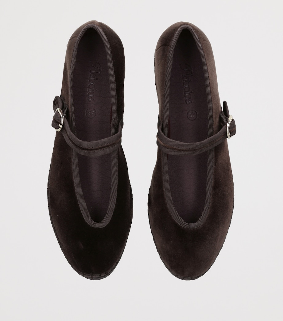 Flabelus Velvet Pierre Mary Jane Flats Dark Brown Image 3