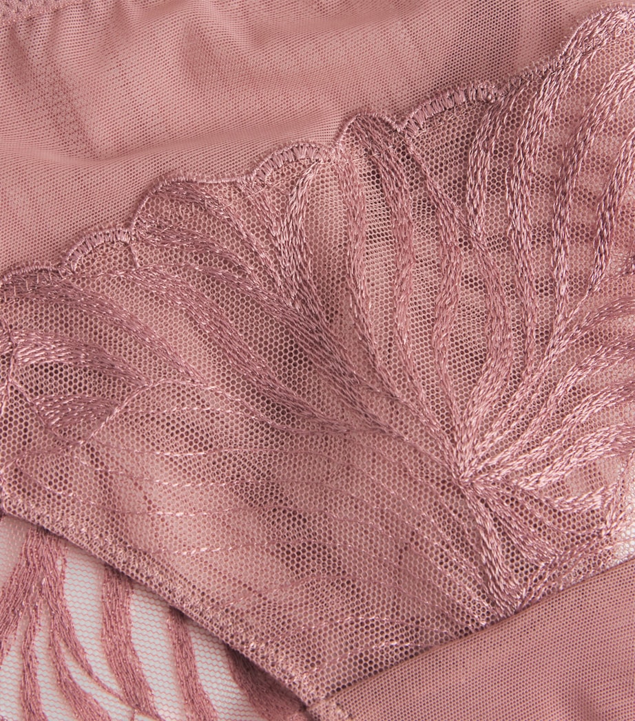 Lace Legend Tanga Briefs 0R4/ROSE DES BOIS Image 4