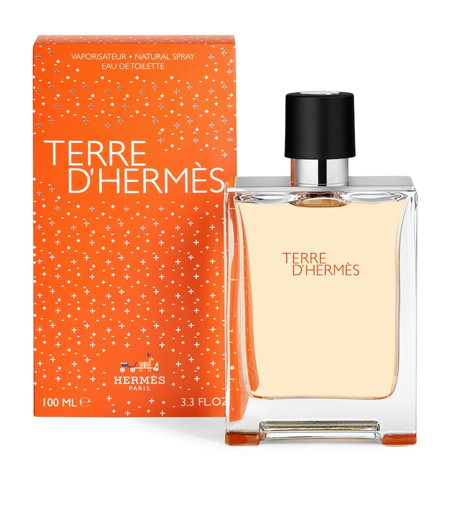Terre d’Hermès Eau de Toilette (100ml) NO COLOUR Image 1