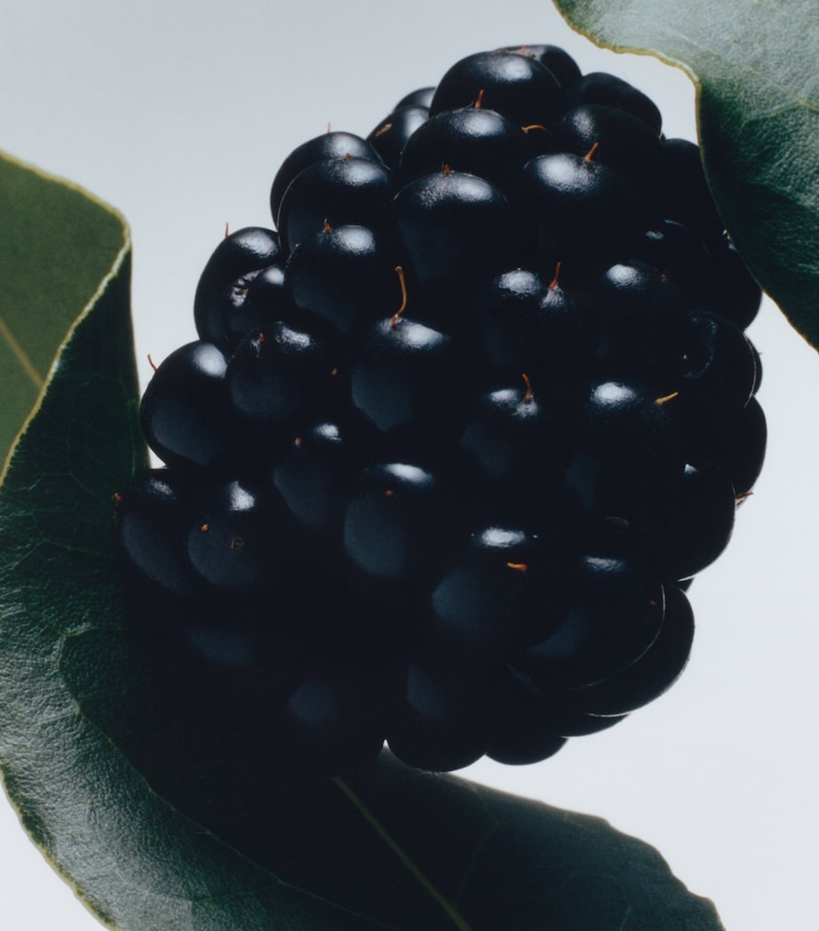 Blackberry & Bay Classic Candle (200g) NO COLOUR Image 3