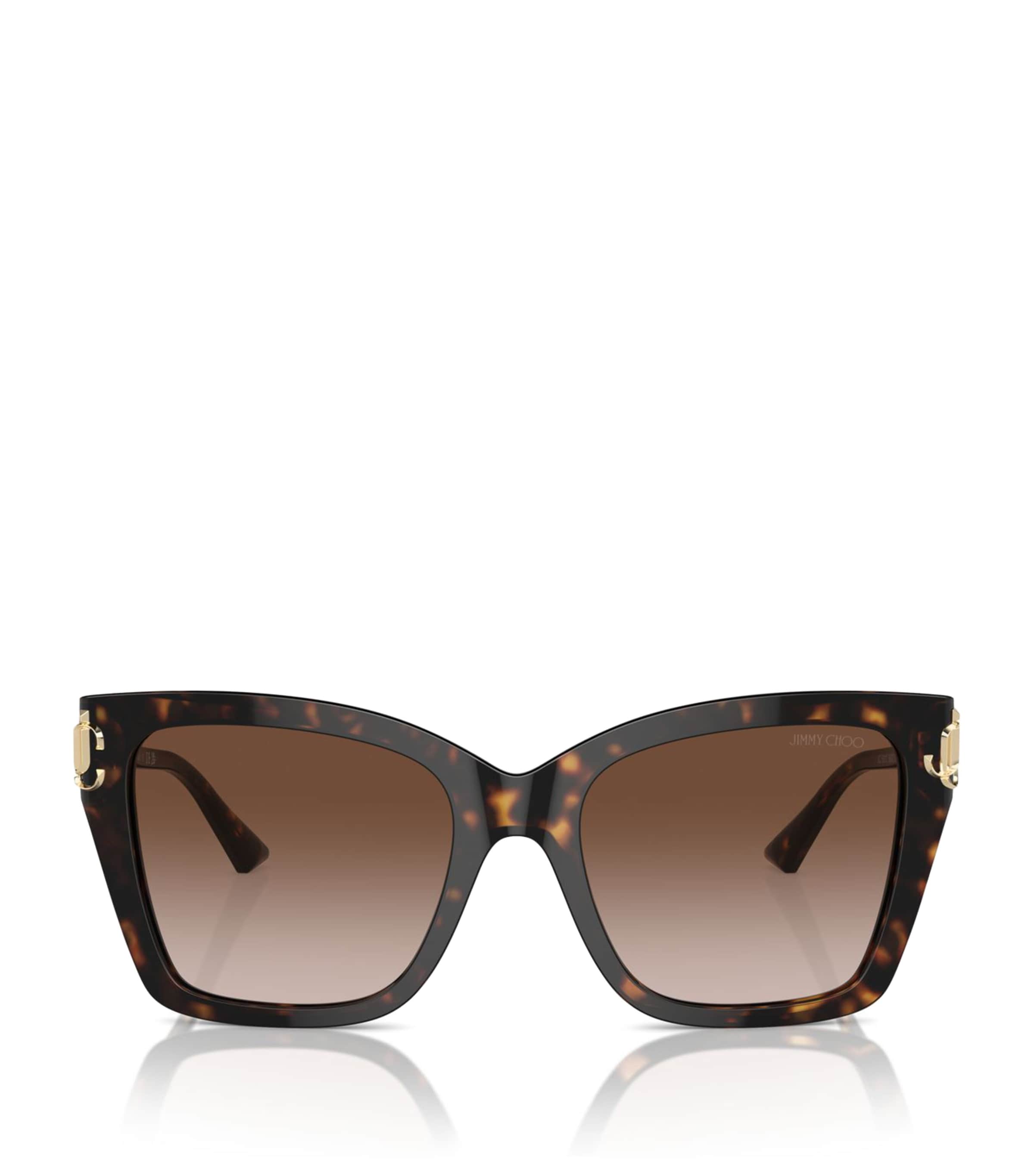 Jimmy Choo Acetate Jc5012 Sunglasses In Brown