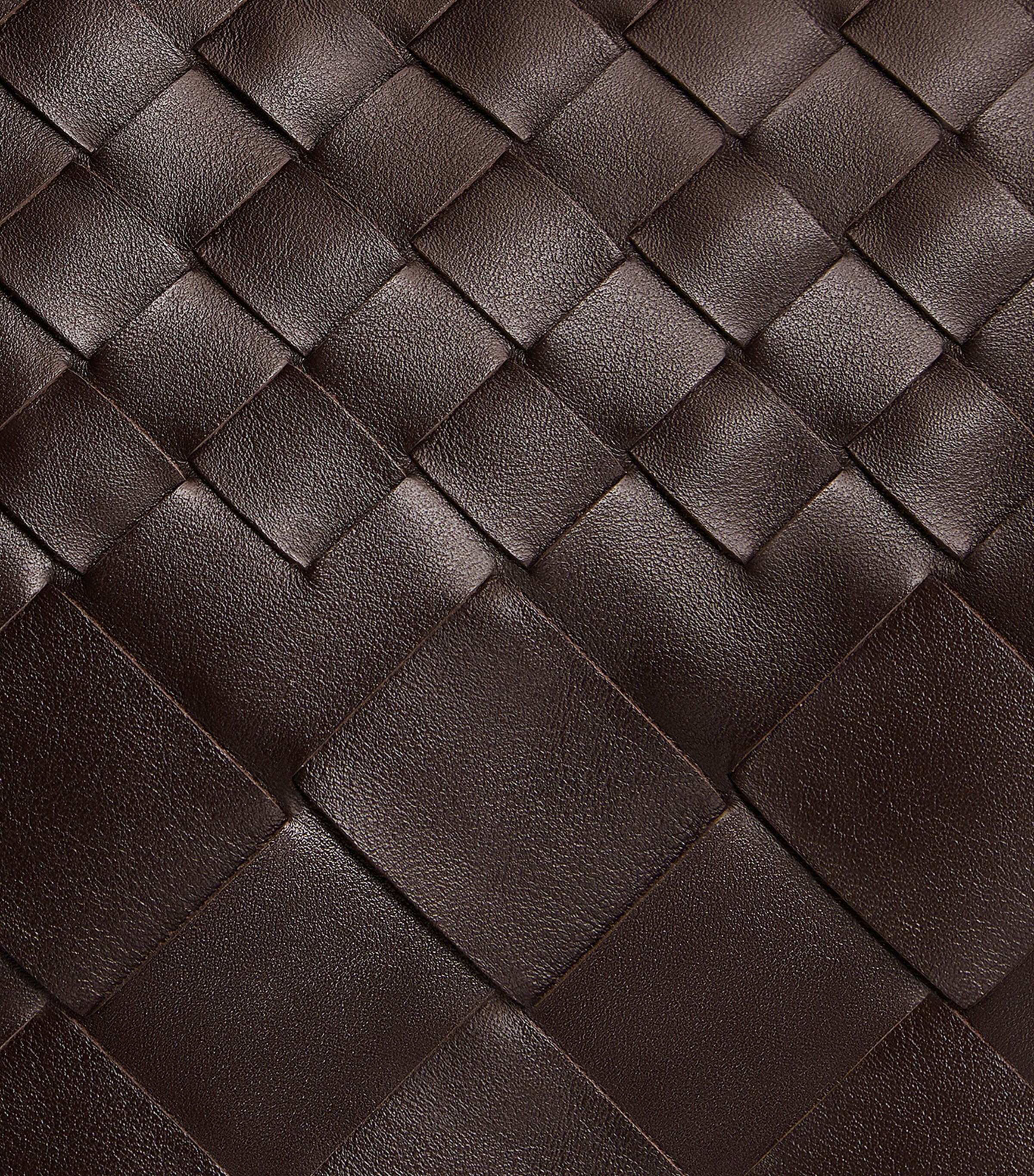 Bottega Veneta Mens Leather Briefcase Image 5