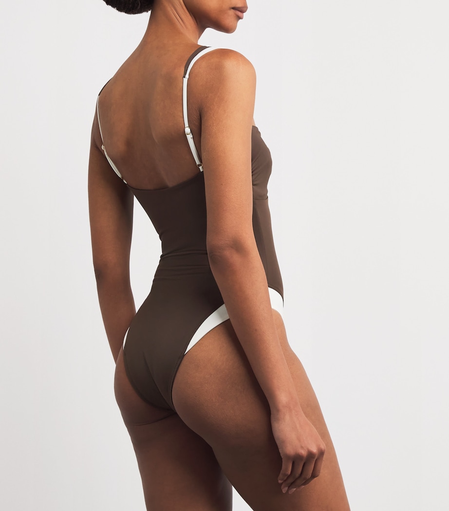 Cannes Swimsuit ESPRESSO/IVORY Image 3