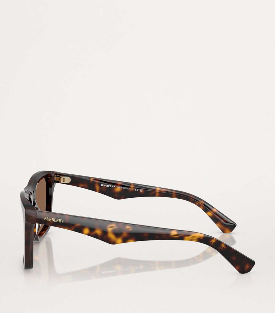 Acetate Wayfarer Sunglasses 300273 Image 3