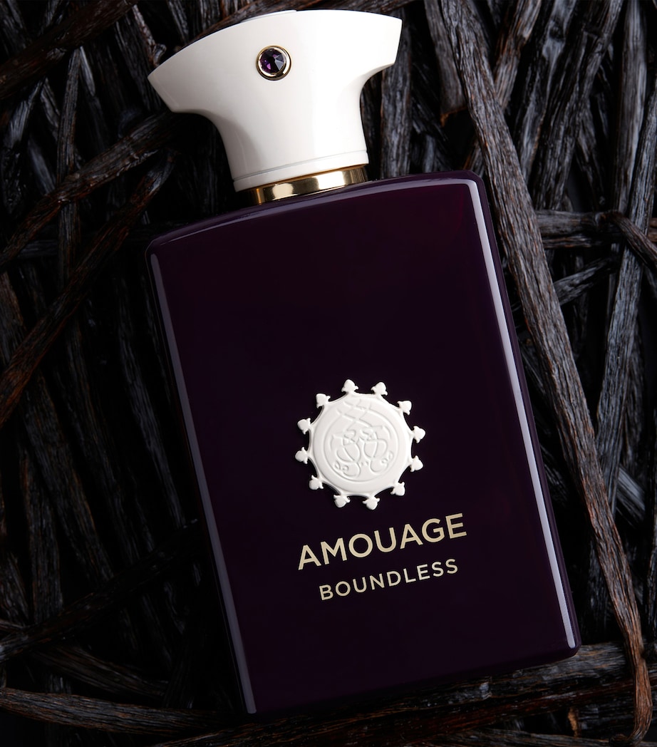 Boundless Eau de Parfum (100ml) NO COLOUR Image 4