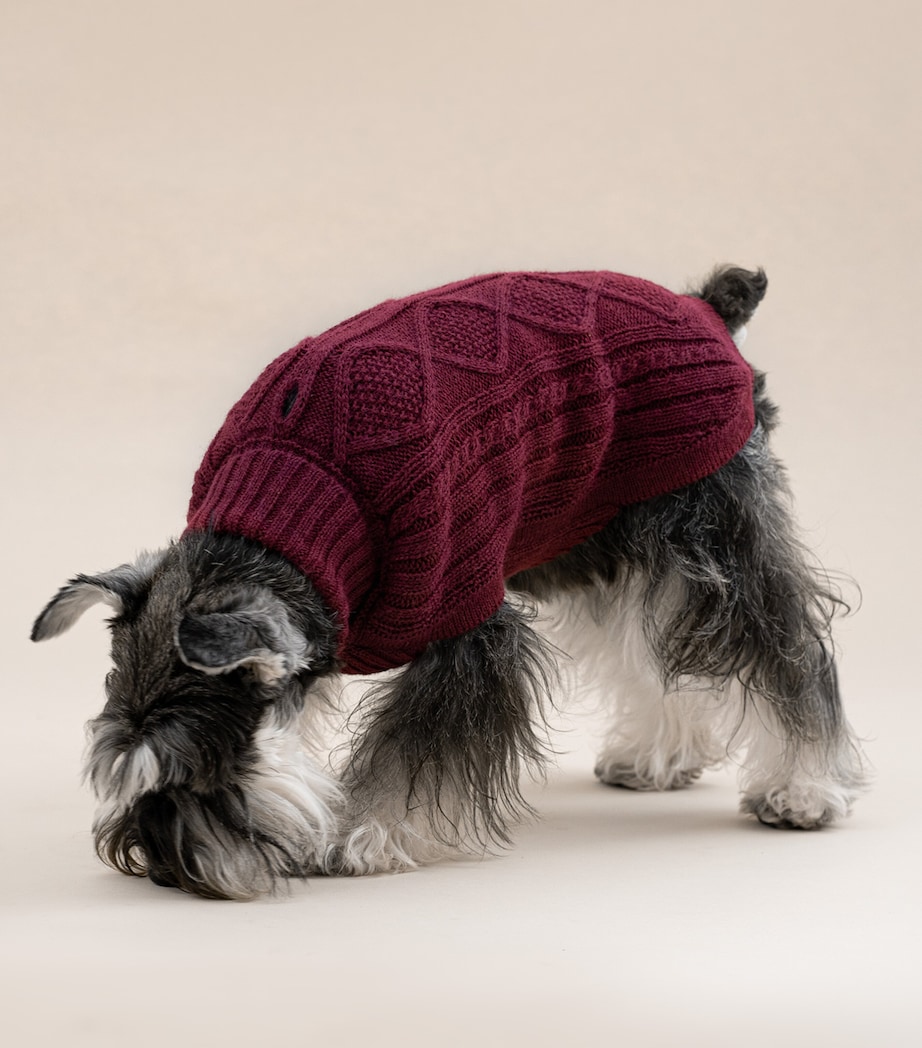 ALQO WASI Alpaca-Blend Aran Knit Dog Sweater (XX-Small) Red Wine Image 6