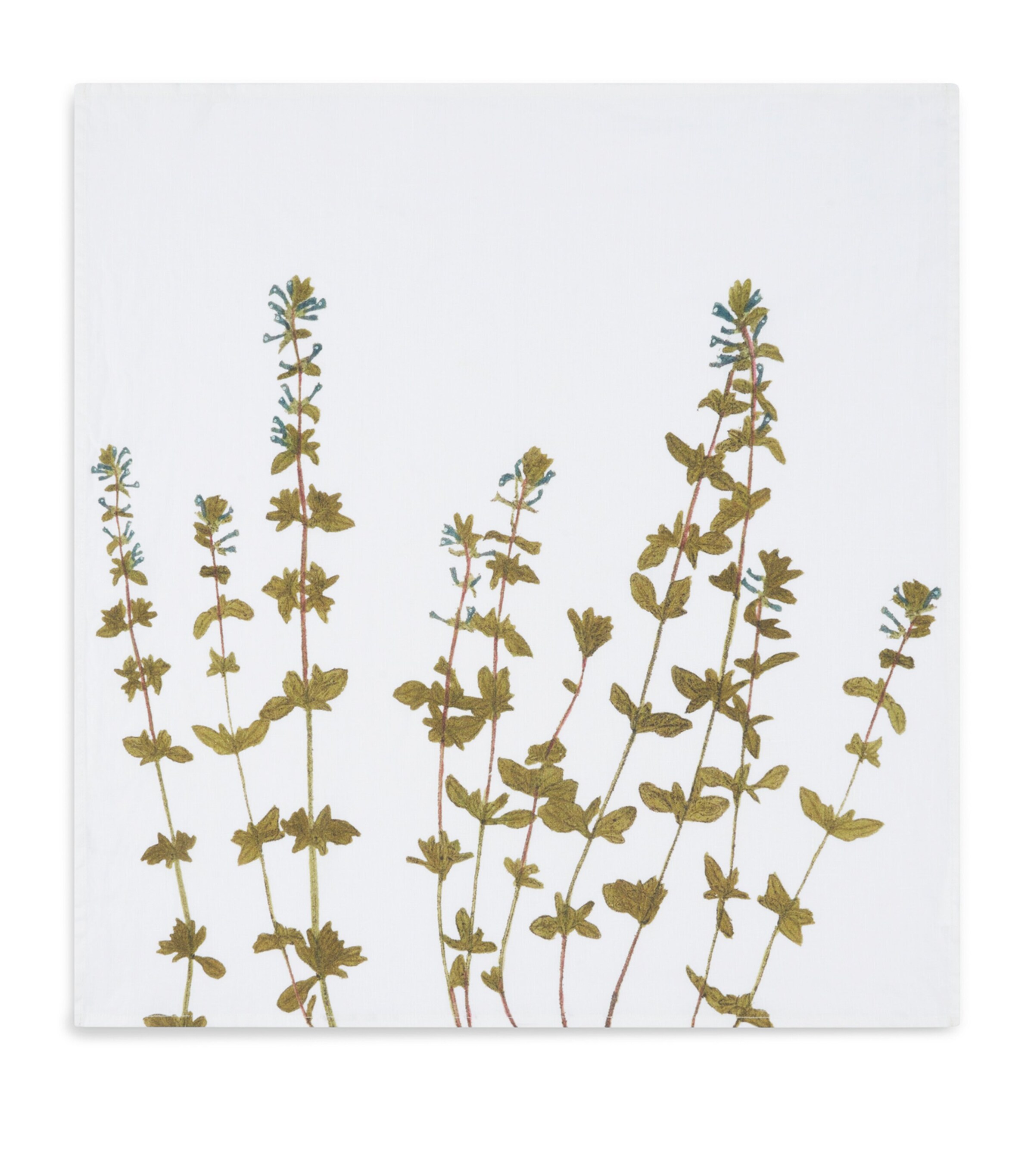 Set of 6 Linen Gastronomic Herb Garden Napkins (50cm x 50cm) GREEN Image 5