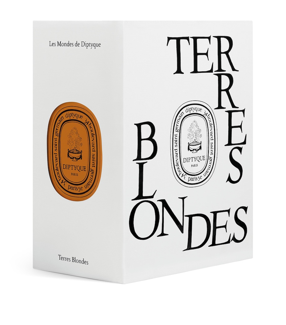 Terres Blondes Candle (270g) NO COLOUR Image 5