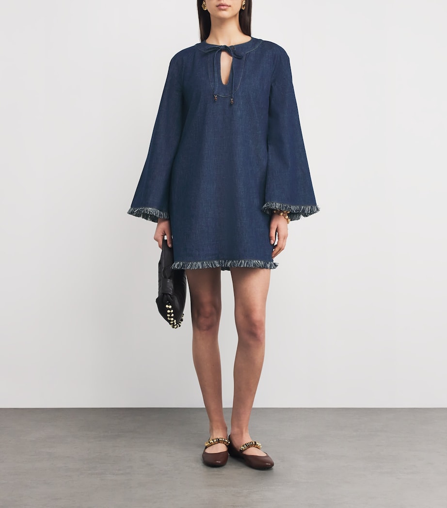 Denim Rhiannon Mini Dress ALN/ATLANTIC Image 2