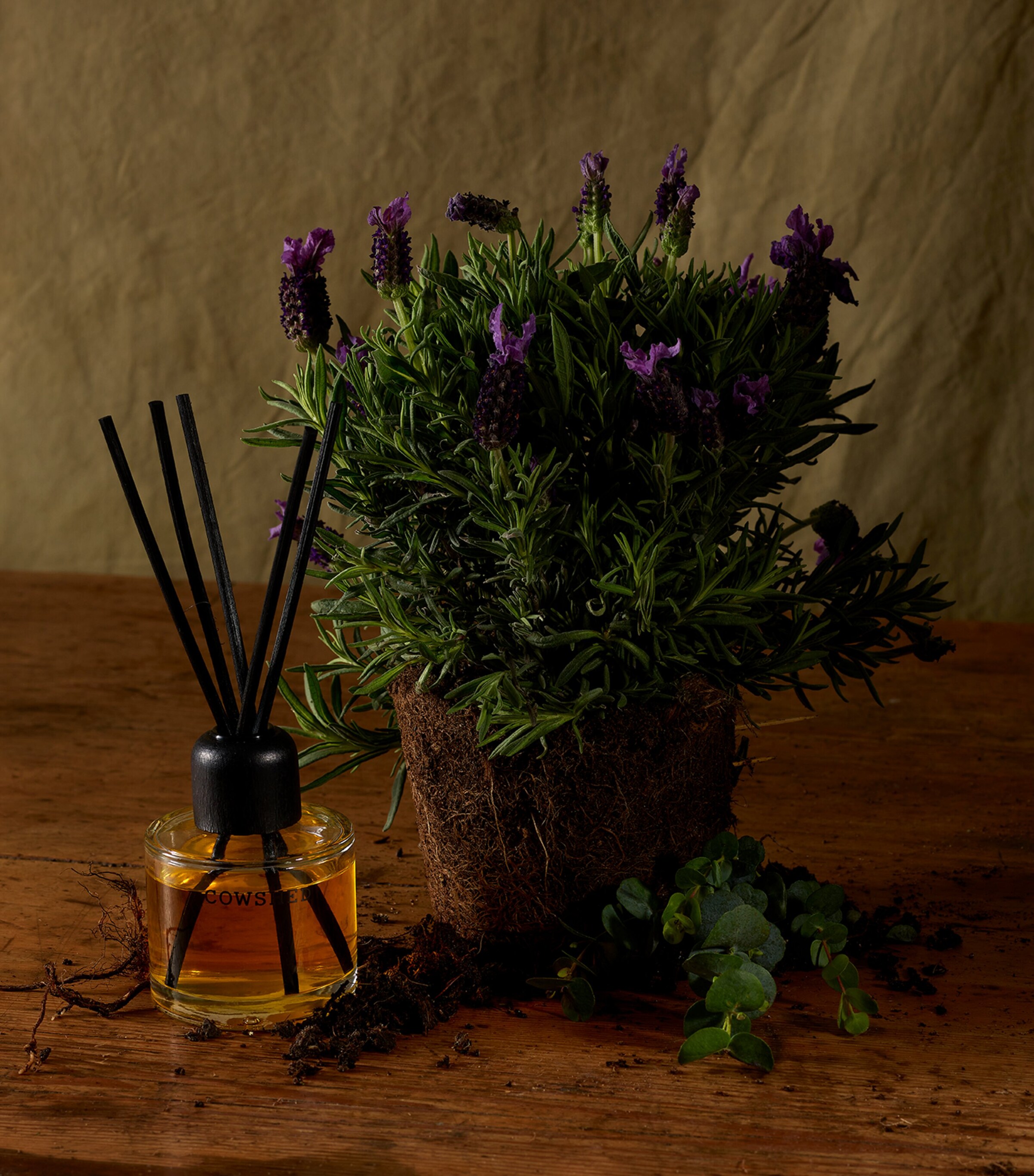 Relax Calming Diffuser (100ml) NO COLOUR Image 3