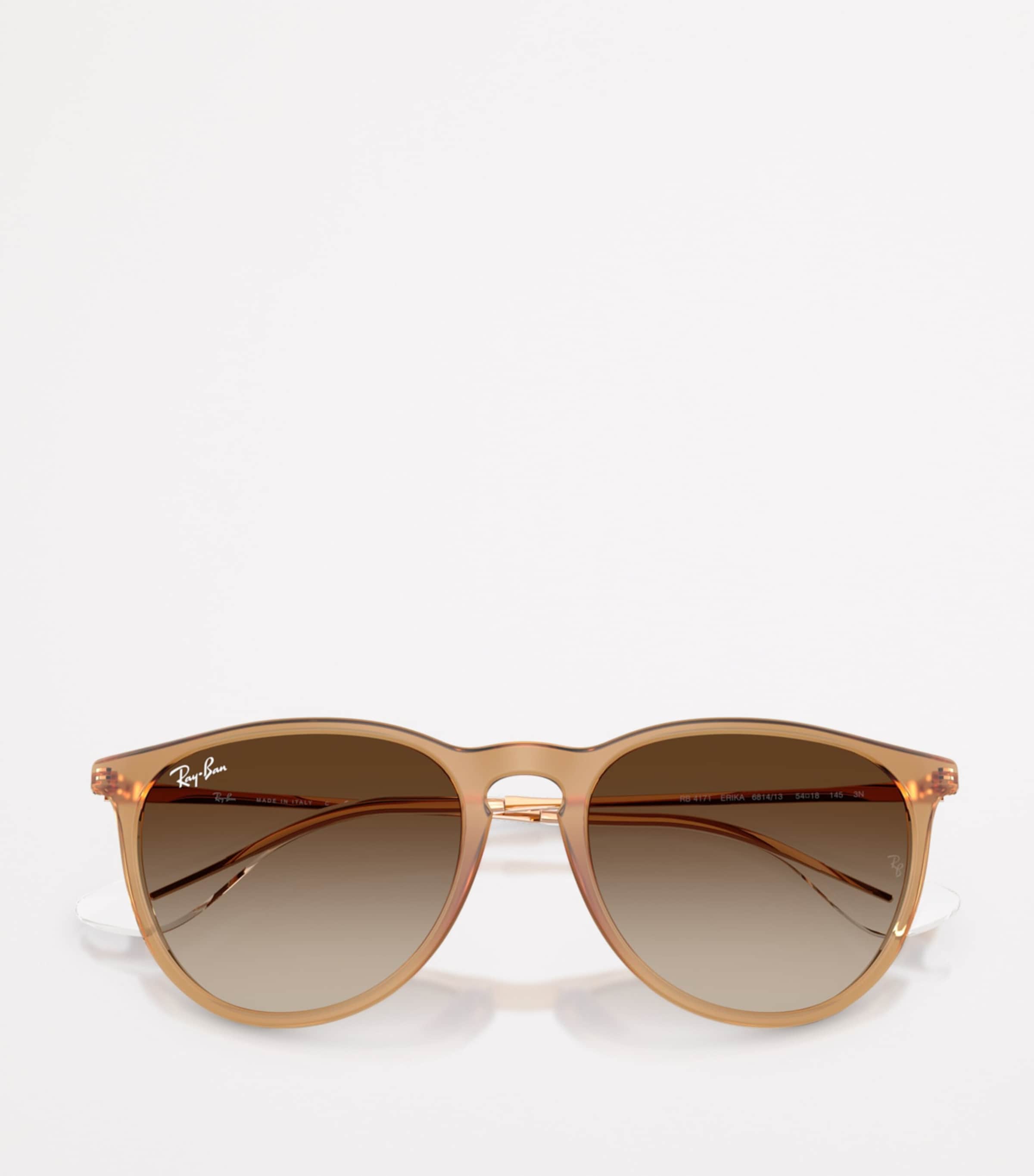RB4171 Erika Classic Sunglasses 681413 Image 5