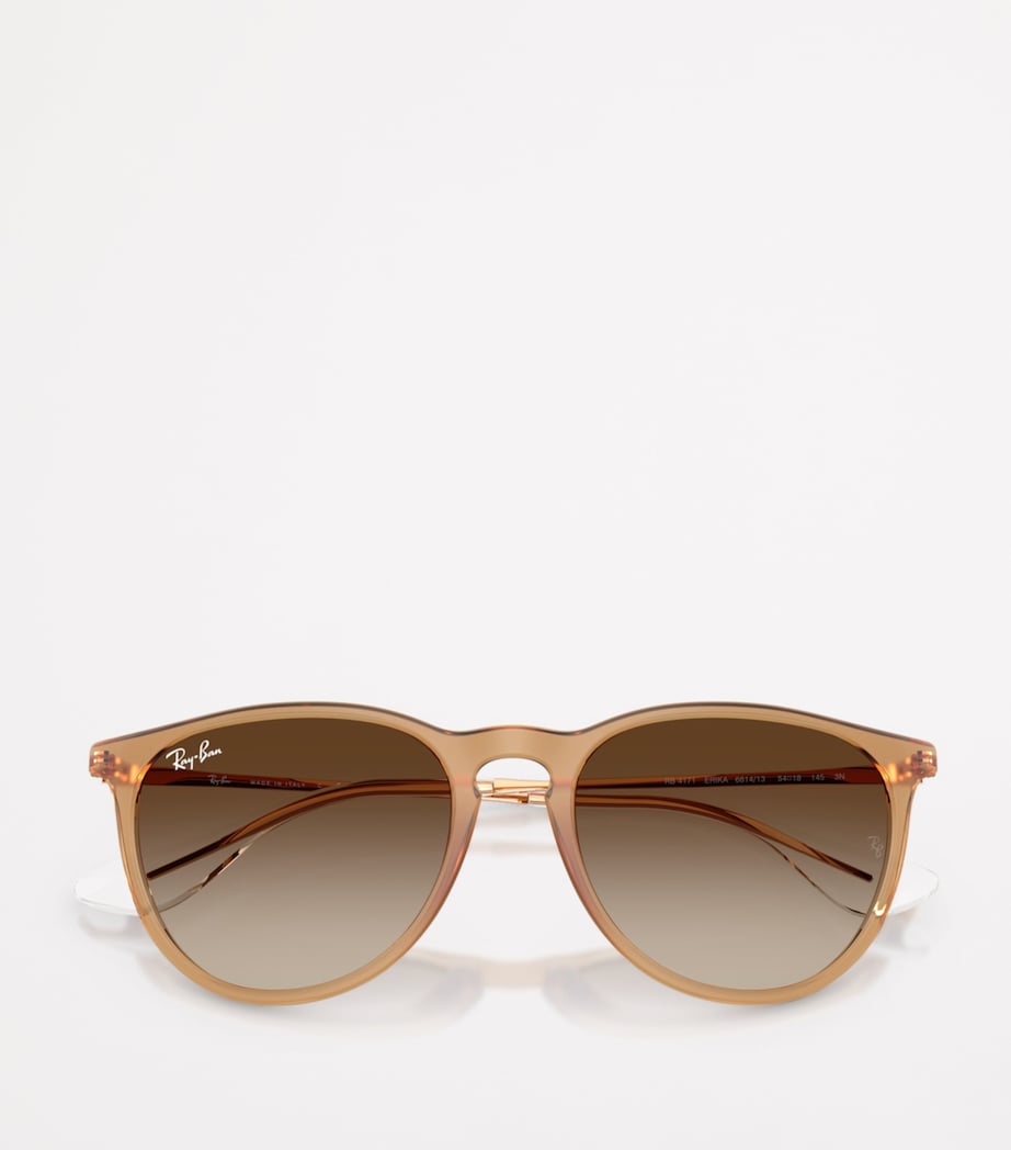 RB4171 Erika Classic Sunglasses 681413 Image 5