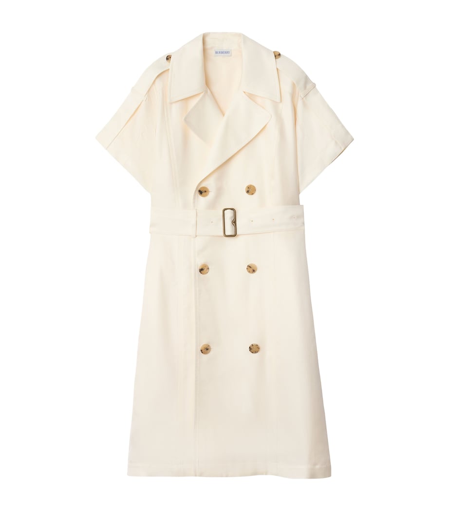 Belted Trench Midi Dress PELICAN Image 1