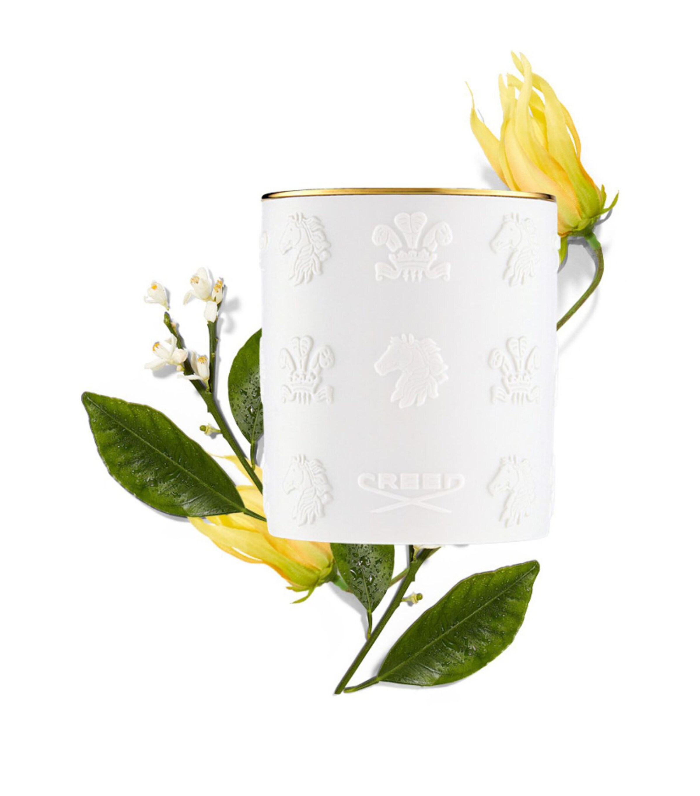 Cananga Scented Candle (220g) NO COLOUR Image 4