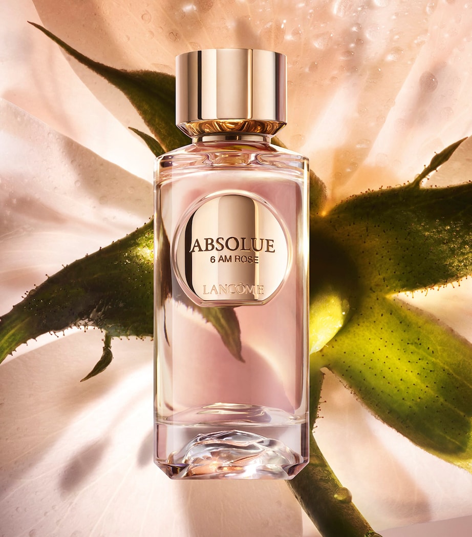 Absolue 6AM Rose Eau de Parfum (100ml) NO COLOUR Image 3