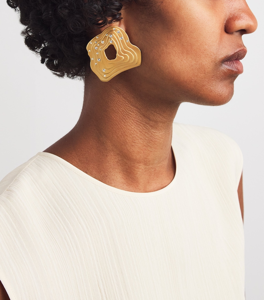 Falak Earrings BRASS Image 5