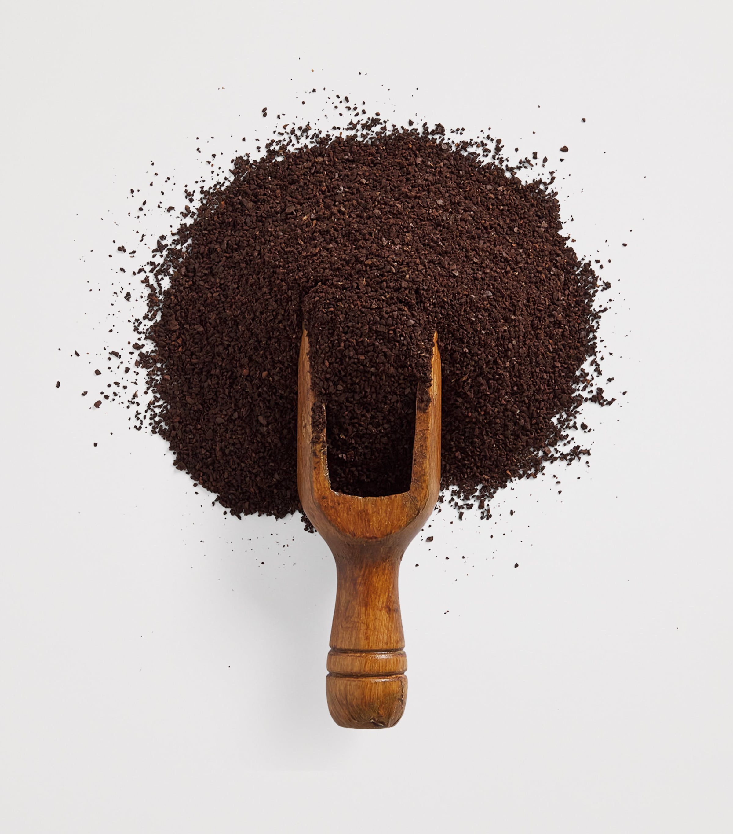 Harrods Traditional Blend Coffee (250g) Image 2