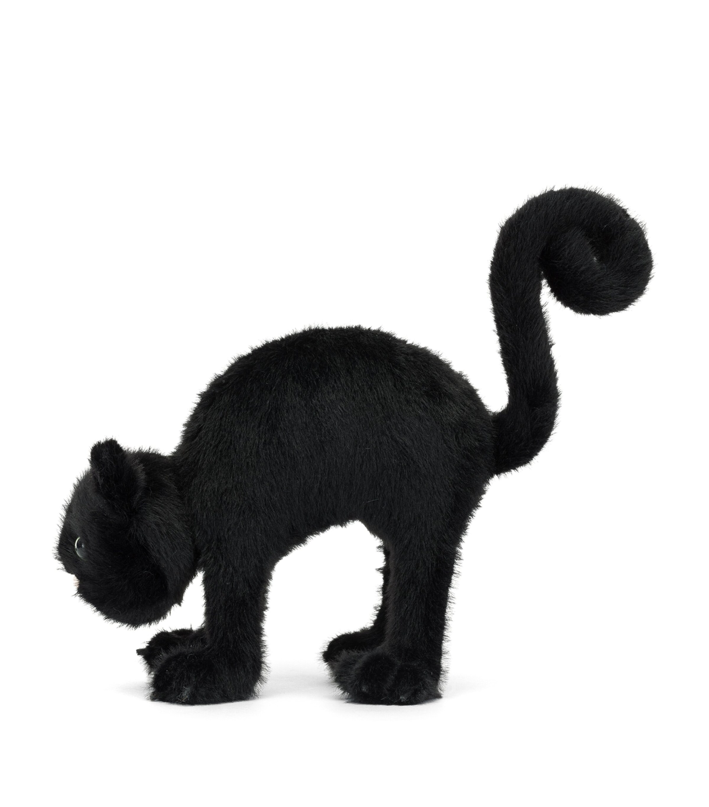 Spookipaws Cat main image 1