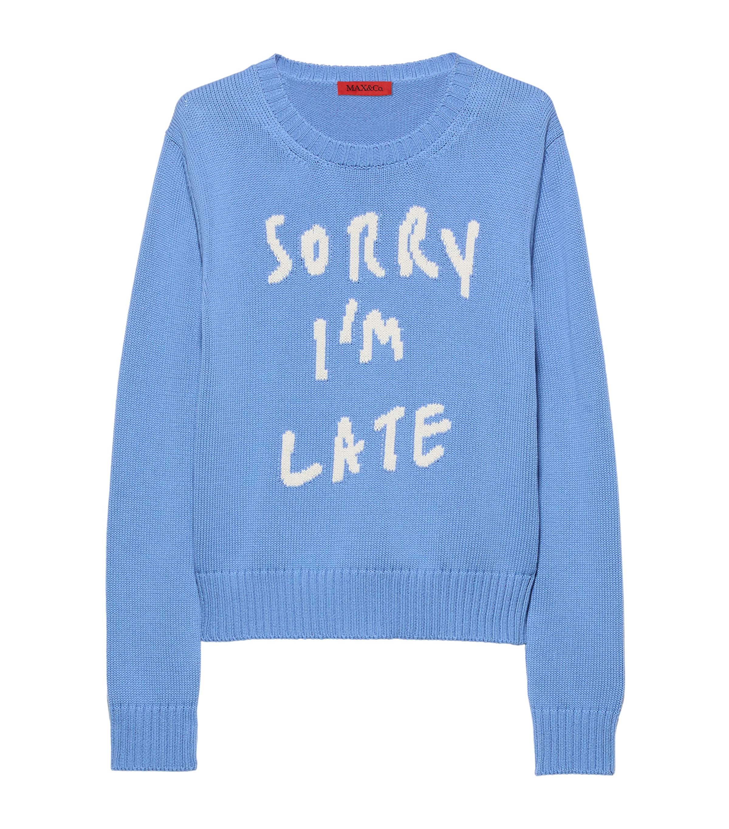 MAX&Co. Womens Cotton Slogan Sweater Sky Blue Image 1