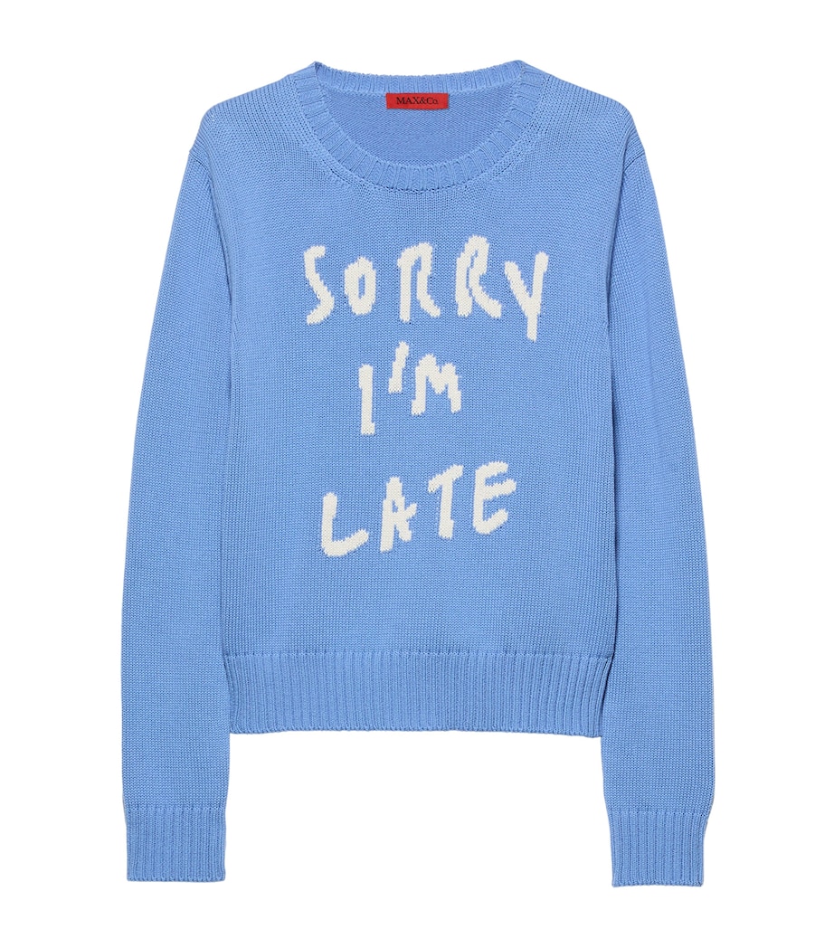 MAX&Co. Womens Cotton Slogan Sweater Sky Blue Image 1