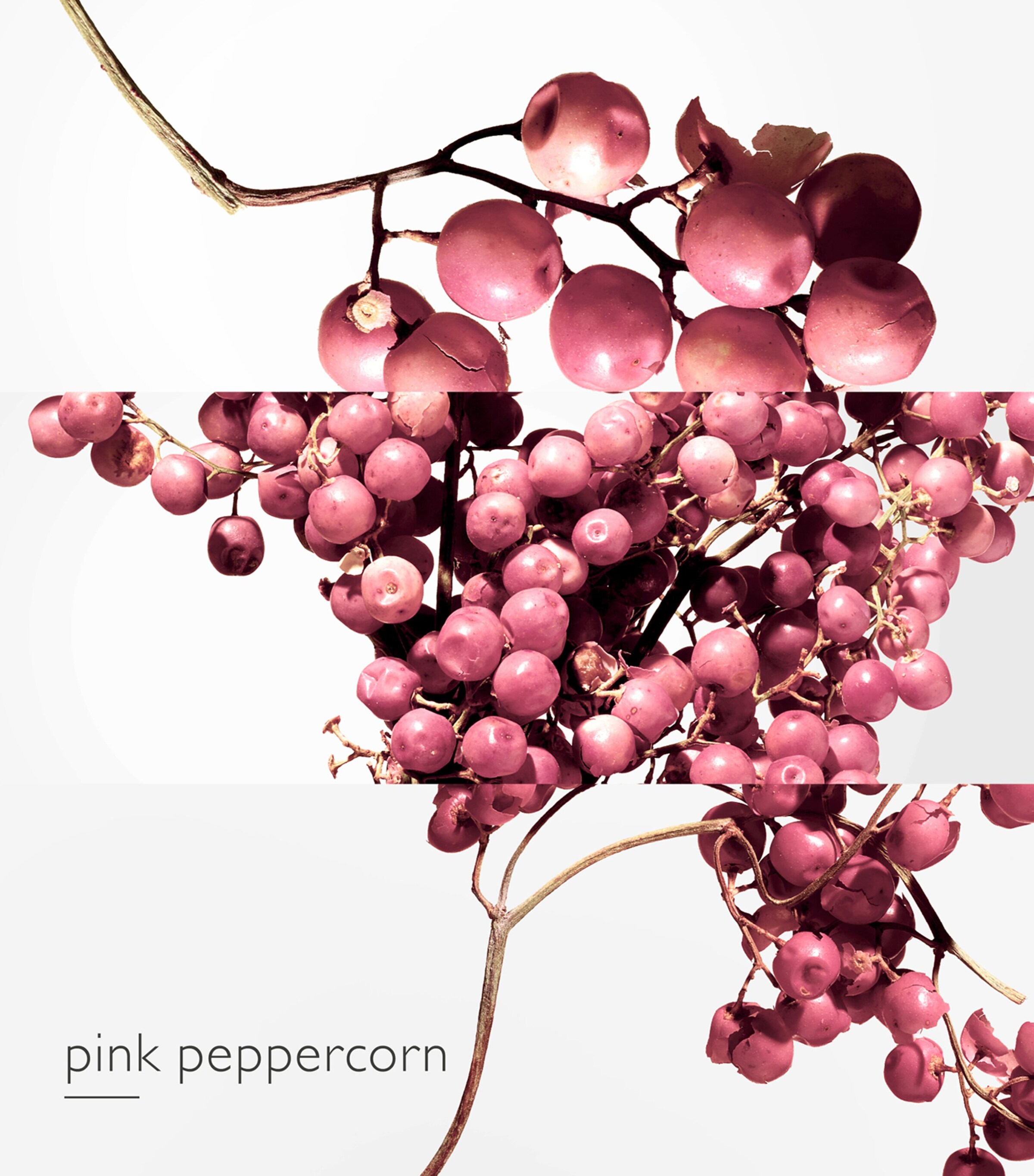 Twilly d'Hermès Eau Poivrée Eau de Parfum (85ml) NO COLOUR Image 4