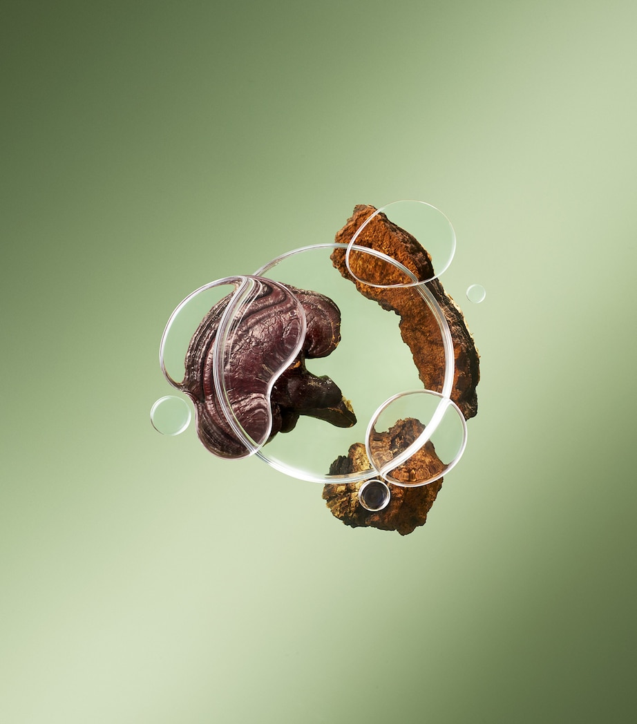 Dr. Andrew Weil Mega-Mushroom Relief & Resilience Fortifying Emulsion (100ml) NO COLOUR Image 9