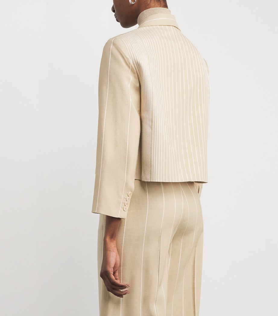 Embroidered Stripe Berlier Blazer AFFOGATO/IVORY Image 4