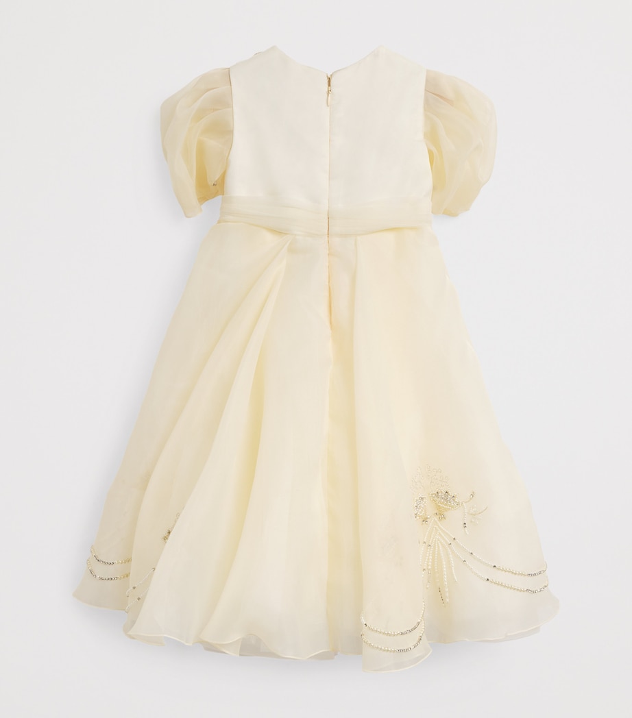 Tulle Embellished Dress (2-14 Years) IVORY Image 2