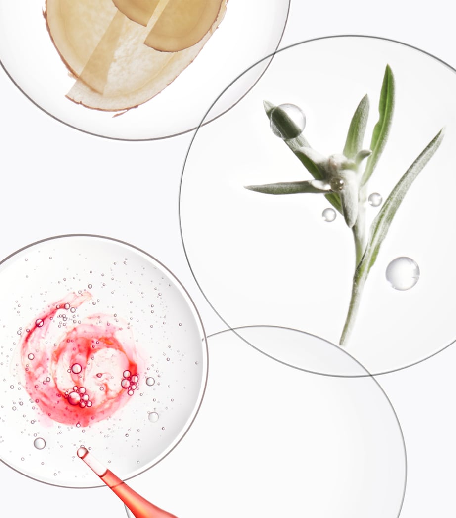 Genesis Bain Hydra-Fortifiant Shampoo (500ml) NO COLOUR Image 3