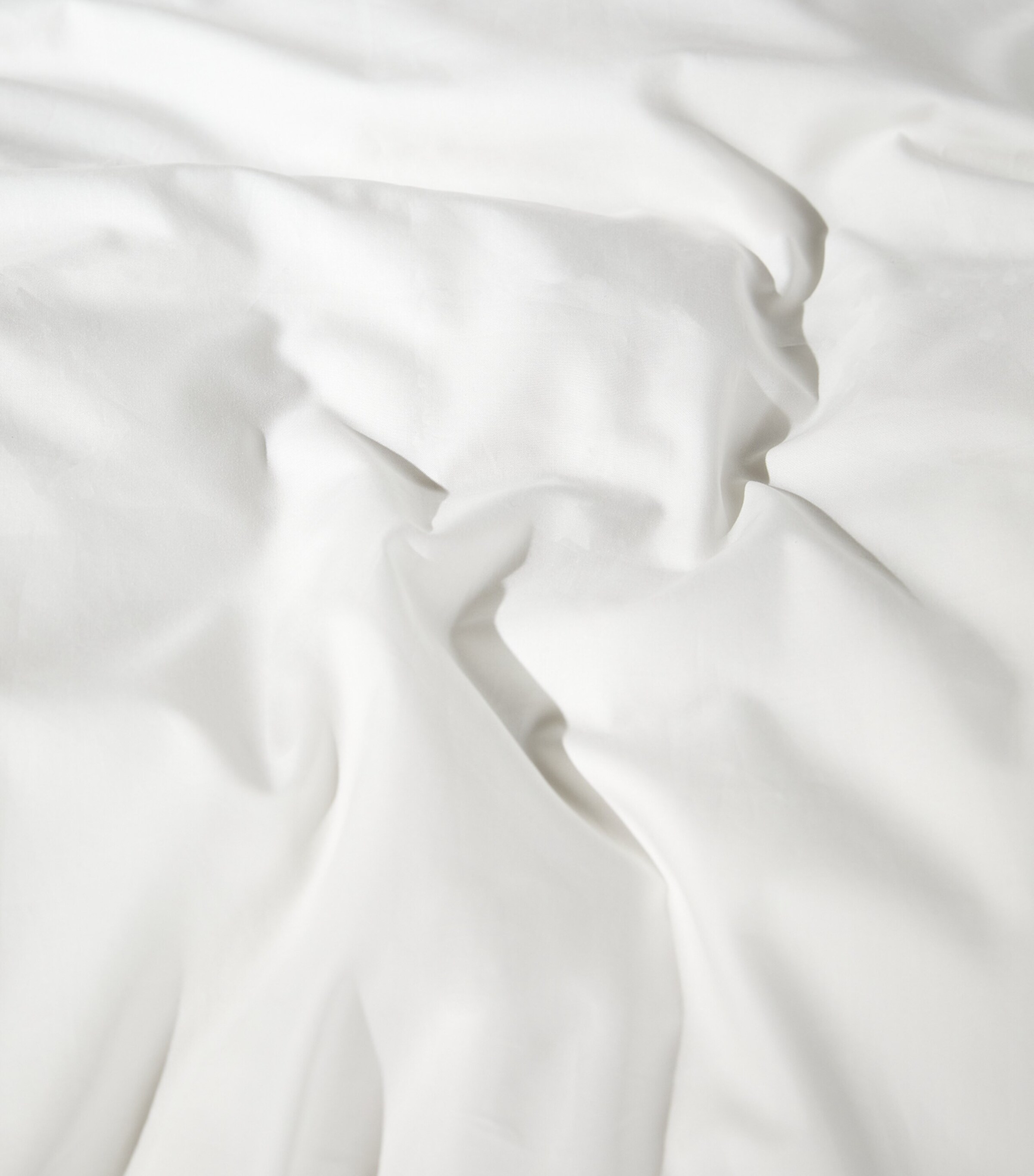 Harrods of London Egyptian Cotton Parisian Double Flat Sheet (230cm x 260cm) White/sage Image 8